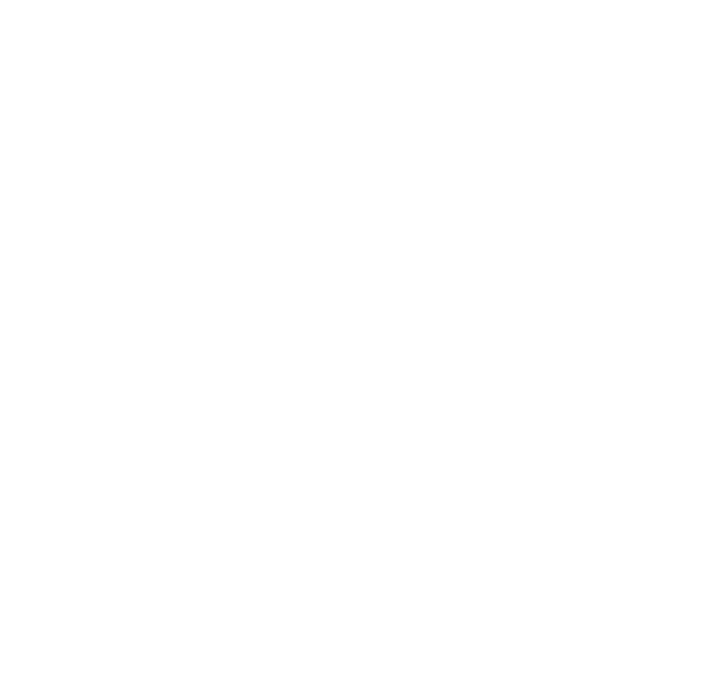VNAM logo
